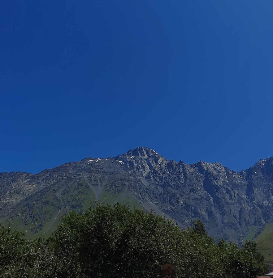 Trip Zone Kazbegi Apartment Екстериор снимка