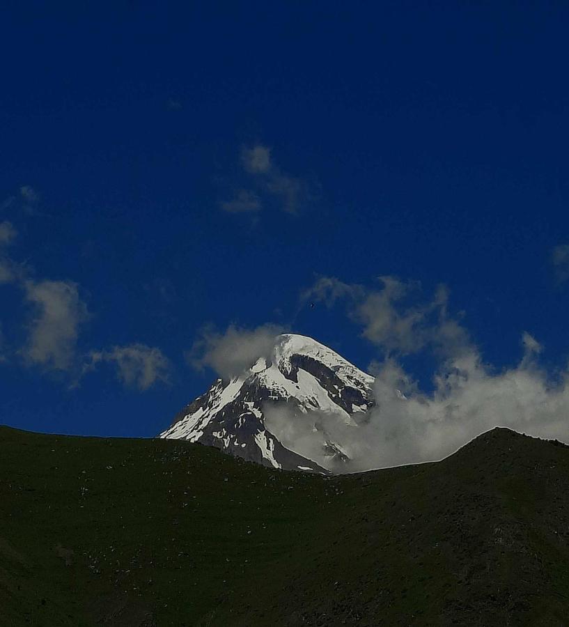 Trip Zone Kazbegi Apartment Екстериор снимка