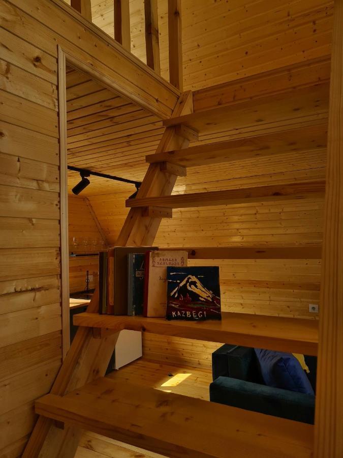 Trip Zone Kazbegi Apartment Екстериор снимка