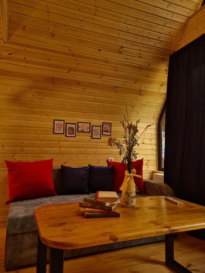 Trip Zone Kazbegi Apartment Екстериор снимка