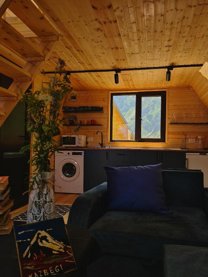 Trip Zone Kazbegi Apartment Екстериор снимка