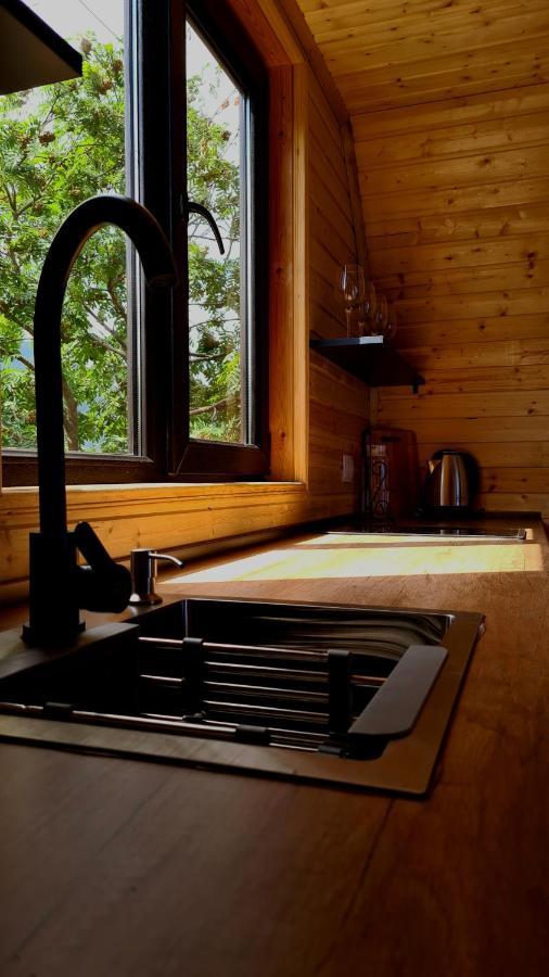 Trip Zone Kazbegi Apartment Екстериор снимка