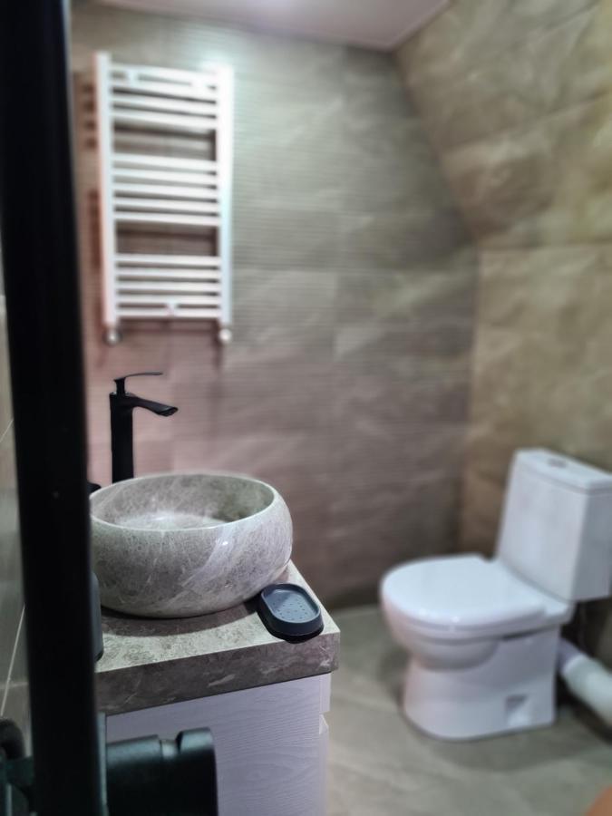 Trip Zone Kazbegi Apartment Екстериор снимка