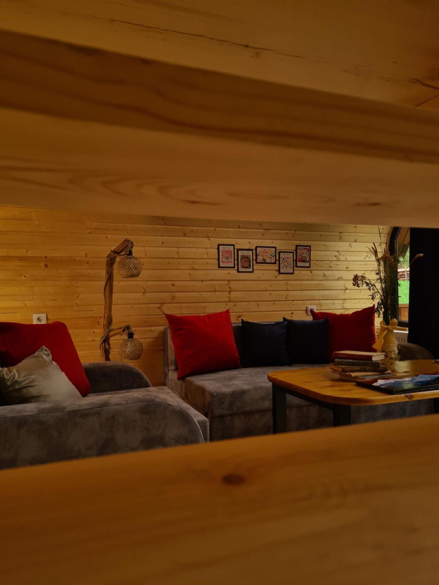 Trip Zone Kazbegi Apartment Екстериор снимка
